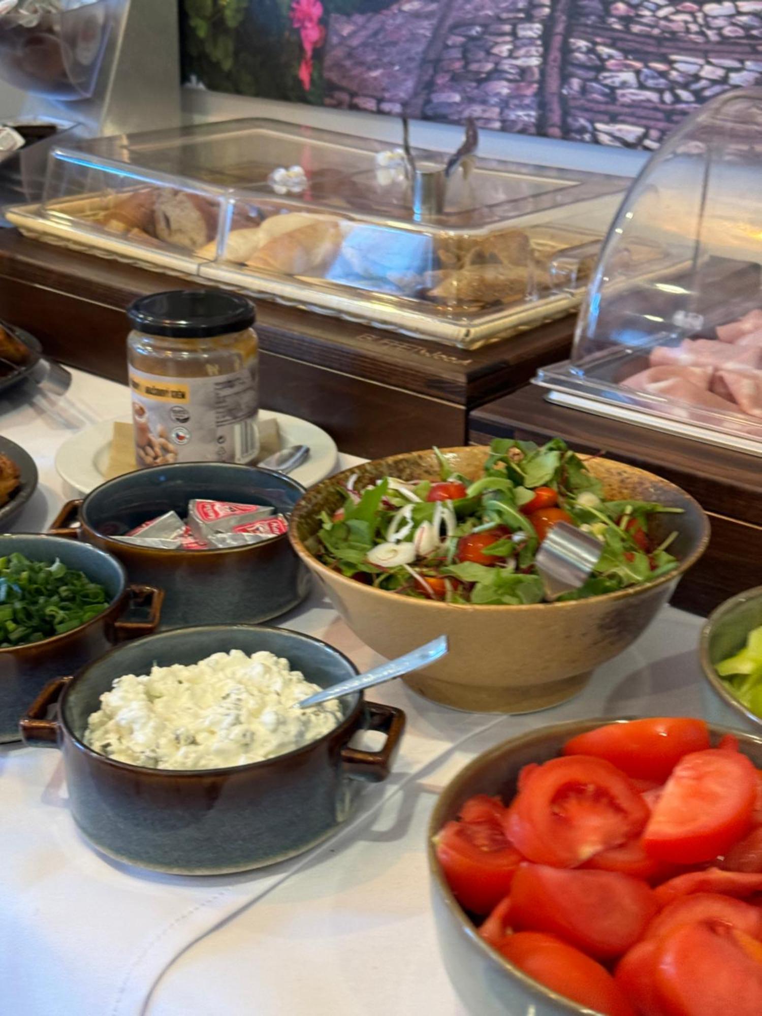 Medzilaborce Typton Hotel&Spa מראה חיצוני תמונה
